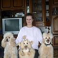 Mozart, Manon, Josephine a Wenke